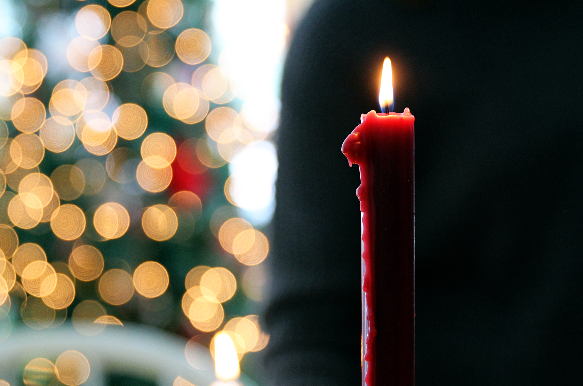 candle with a Christmas tree background